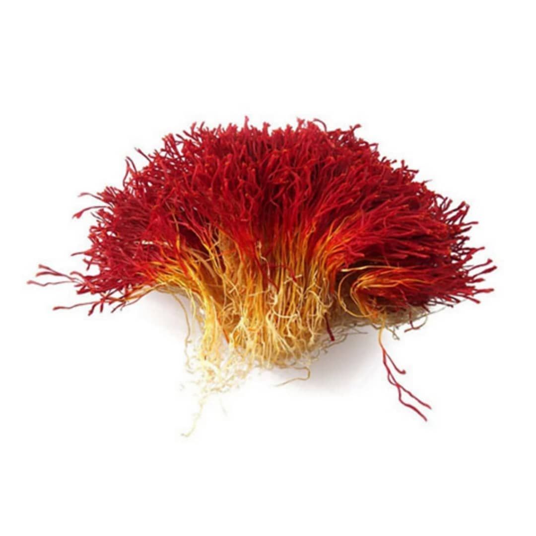 Pure Organic kashmiri Saffron ( kesar ) (Gucchi) 1 gm