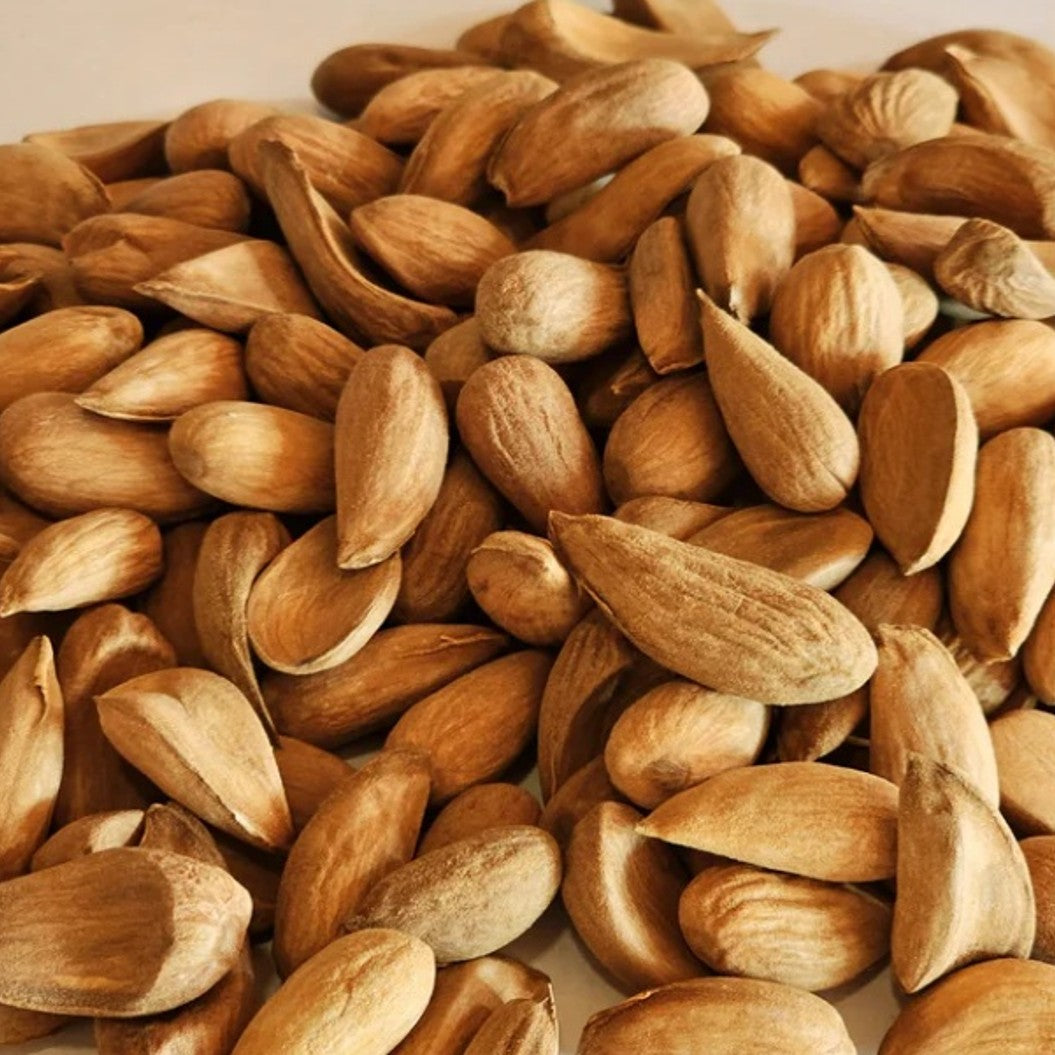 Kashmiri Mamra big size 500 gms