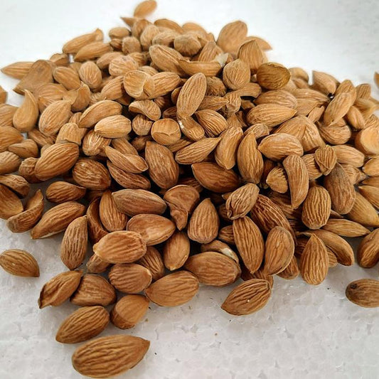 Kashmiri Mamra small size 500 gms