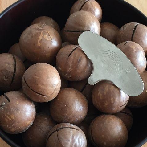 Macadamia Nuts wih shell (500 gms)
