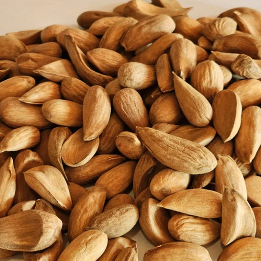 Kashmiri Mamra big size 500 gms